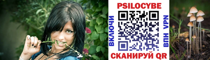 Псилоцибиновые грибы GOLDEN TEACHER  Краснообск 